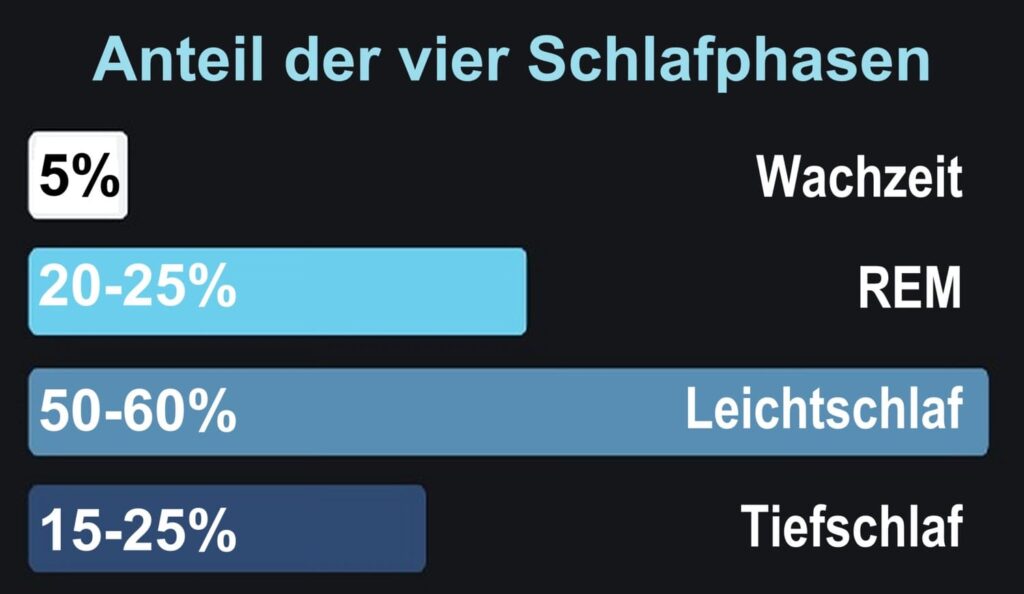 Nachtschlaf – Anteil der vier Schlafphasen