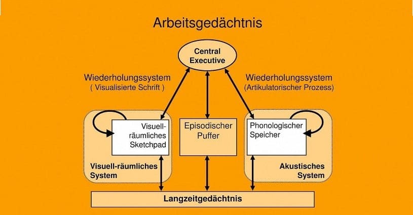 workingmemory arbeitsgedaechtnis